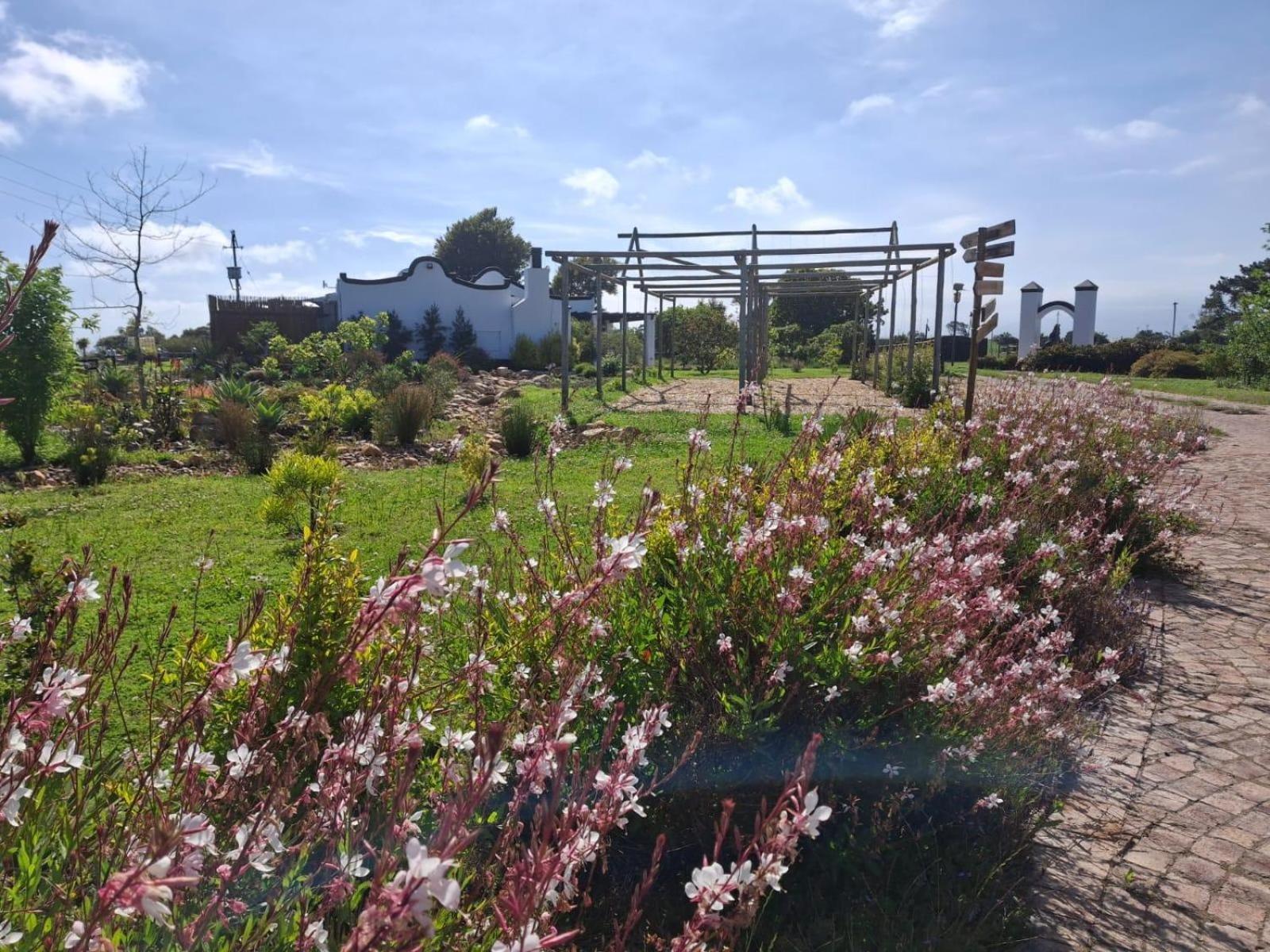 Dunkes Organic Equestrian Estate Apartment George Luaran gambar
