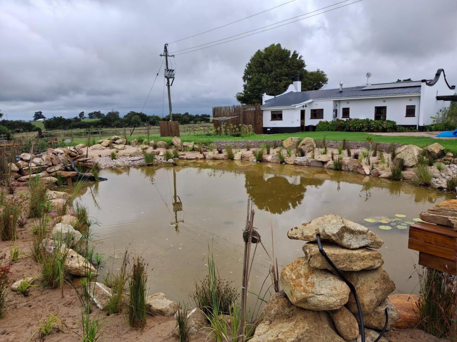 Dunkes Organic Equestrian Estate Apartment George Bilik gambar